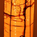 Honey Light Column alight (detail)